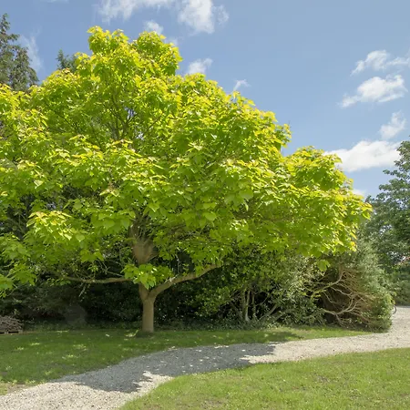 מלון Boutique 't Vosje