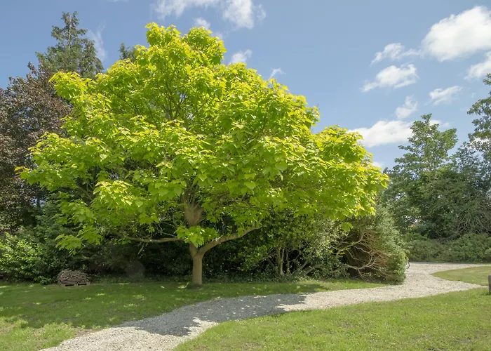 호텔 Boutique 't Vosje