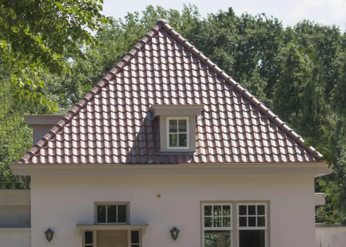 Boutique 't Vosje 3* 하를렘